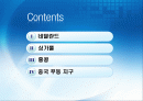 [지역물류론] 항만대국으로 가는길 - 물류중심지 성공사례 2페이지