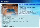[지역물류론] 항만대국으로 가는길 - 물류중심지 성공사례 12페이지