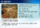 [지역물류론] 항만대국으로 가는길 - 물류중심지 성공사례 15페이지
