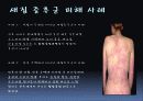 새집증후군 3페이지