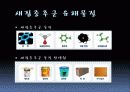 새집증후군 10페이지