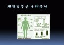 새집증후군 13페이지