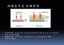 새집증후군 16페이지