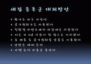 새집증후군 17페이지