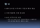 새집증후군 20페이지