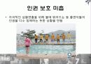 짝_대중문화매스컴 21페이지