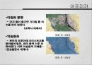 오리엔탈리즘 15페이지