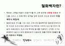15 ~ 17세기 청화백자와 철화백자에 나타난 회화성, 역사성 연구 13페이지
