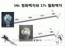 15 ~ 17세기 청화백자와 철화백자에 나타난 회화성, 역사성 연구 22페이지