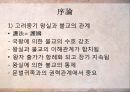 고려 중기 화엄종(華嚴宗)과 의천(義天) 6페이지