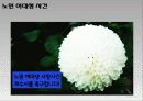 공론장으로서 사이버공간 17페이지