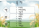 국순당_막걸리 2페이지