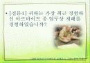 근로청소년복지 25페이지