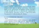 근로청소년복지 38페이지