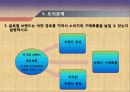글로벌_제품전략 49페이지