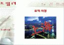 [국제 마케팅] 2ne7의 Switch P 6페이지