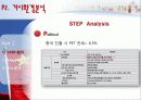[국제 마케팅] 2ne7의 Switch P 14페이지