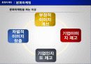 국제 마케팅 전략 - 브랜드 30페이지