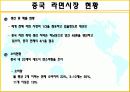 농심라면의_해외진출사례_ 12페이지