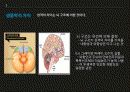 내향적인 사람 20페이지