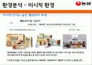 농심 15페이지