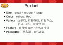 마케팅 6페이지