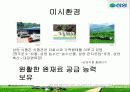 라면시장조사 - 삼양의 '그대라면' 9페이지