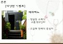 마케팅 성공사례-와인 30페이지