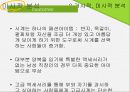 로만손국내마케팅전략 13페이지