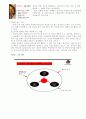 마케팅 이슈 분석 18페이지
