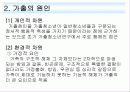 비행과 학교 부적응 8페이지