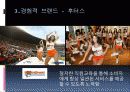 브랜드 자산 관리 사례 17페이지