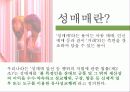 성매매PT 5페이지