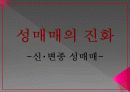 성매매.. 5페이지