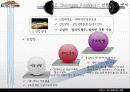 스포츠마케팅 - 피트니스 센터 종합 정보 포탈 11페이지