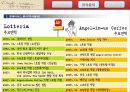 엔제리너스(Angel-in-us) 마켓팅 성공사례 분석 4페이지