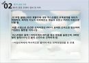 이스라엘 건국과 중동 전쟁 37페이지