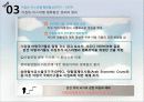 이스라엘 건국과 중동 전쟁 48페이지