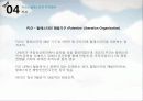 이스라엘 건국과 중동 전쟁 71페이지