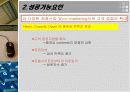 인터넷_마케팅 17페이지