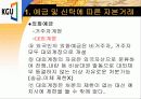 자본거래_ 9페이지