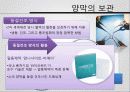 재생의학에서의 양막 7페이지