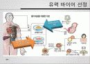 재생의학에서의 양막 23페이지