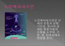 전염병과 의약품 26페이지