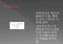전염병과 의약품 27페이지