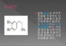 전염병과 의약품 28페이지