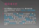 전염병과 의약품 30페이지
