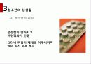 청소년 임신 15페이지