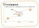 조직변화와 개발 11페이지