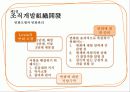 조직변화와 개발 14페이지